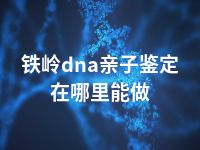 铁岭dna亲子鉴定在哪里能做