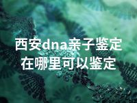 西安dna亲子鉴定在哪里可以鉴定