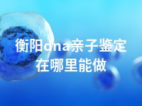 衡阳dna亲子鉴定在哪里能做