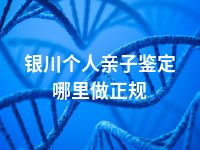 银川个人亲子鉴定哪里做正规