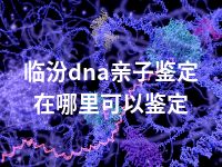 临汾dna亲子鉴定在哪里可以鉴定