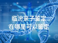 临汾亲子鉴定在哪里可以鉴定
