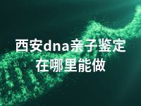 西安dna亲子鉴定在哪里能做