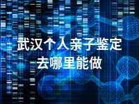 武汉个人亲子鉴定去哪里能做