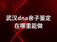 武汉dna亲子鉴定在哪里能做