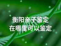 衡阳亲子鉴定在哪里可以鉴定