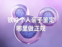 铁岭个人亲子鉴定哪里做正规