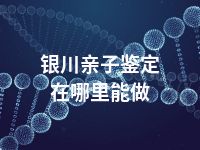 银川亲子鉴定在哪里能做