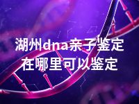 湖州dna亲子鉴定在哪里可以鉴定