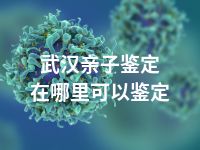 武汉亲子鉴定在哪里可以鉴定