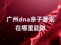 广州dna亲子鉴定在哪里能做