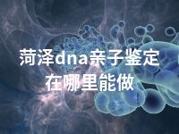 菏泽dna亲子鉴定在哪里能做