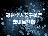 郑州个人亲子鉴定去哪里能做