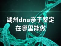 湖州dna亲子鉴定在哪里能做