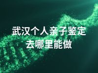 武汉个人亲子鉴定去哪里能做