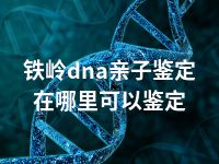 铁岭dna亲子鉴定在哪里可以鉴定