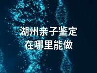 湖州亲子鉴定在哪里能做