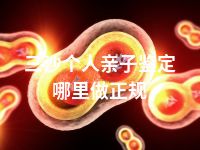 三沙个人亲子鉴定哪里做正规