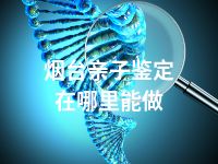 烟台亲子鉴定在哪里能做