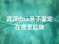 武汉dna亲子鉴定在哪里能做