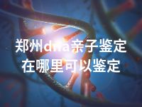 郑州dna亲子鉴定在哪里可以鉴定