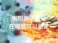 衡阳亲子鉴定在哪里可以鉴定