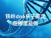铁岭dna亲子鉴定在哪里能做