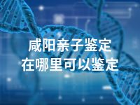 咸阳亲子鉴定在哪里可以鉴定