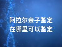 阿拉尔亲子鉴定在哪里可以鉴定