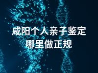 咸阳个人亲子鉴定哪里做正规