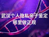 武汉个人隐私亲子鉴定哪里做正规