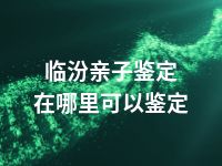 临汾亲子鉴定在哪里可以鉴定
