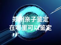 郑州亲子鉴定在哪里可以鉴定