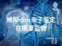 咸阳dna亲子鉴定在哪里能做