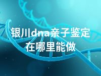 银川dna亲子鉴定在哪里能做
