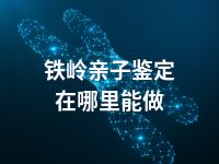 铁岭亲子鉴定在哪里能做