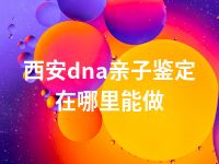 西安dna亲子鉴定在哪里能做