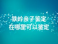铁岭亲子鉴定在哪里可以鉴定