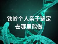 铁岭个人亲子鉴定去哪里能做