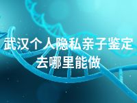 武汉个人隐私亲子鉴定去哪里能做