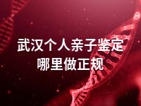 武汉个人亲子鉴定哪里做正规