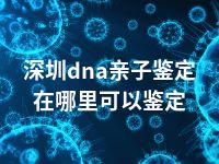 深圳dna亲子鉴定在哪里可以鉴定