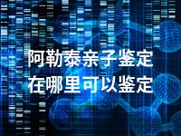 阿勒泰亲子鉴定在哪里可以鉴定