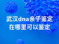 武汉dna亲子鉴定在哪里可以鉴定