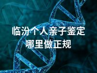 临汾个人亲子鉴定哪里做正规