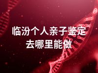 临汾个人亲子鉴定去哪里能做