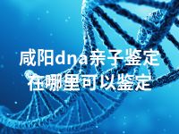 咸阳dna亲子鉴定在哪里可以鉴定