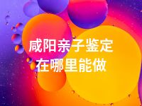 咸阳亲子鉴定在哪里能做