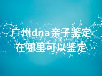 广州dna亲子鉴定在哪里可以鉴定