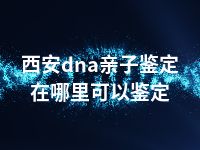 西安dna亲子鉴定在哪里可以鉴定